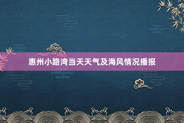 惠州小路湾当天天气及海风情况播报